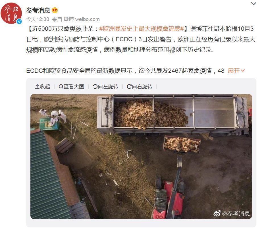 關(guān)注！歐洲暴發(fā)史上最大規(guī)模禽流感，波及37個(gè)國(guó)家！近5000萬(wàn)只禽類被撲殺，蛋價(jià)會(huì)上漲么？